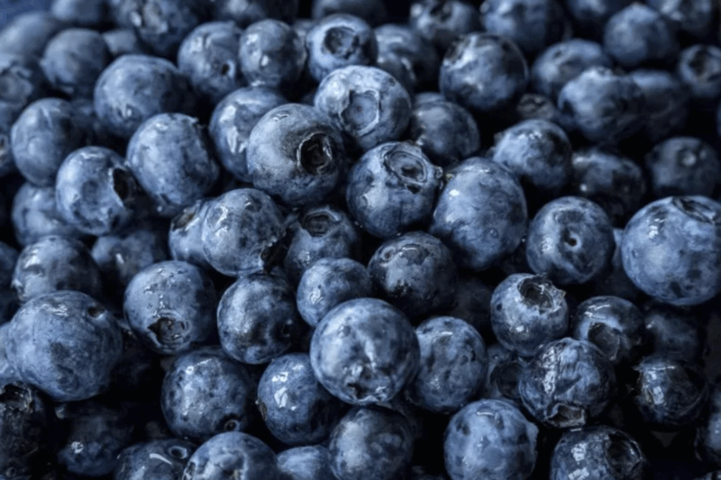 Blueberry Recall: FDA Issues Urgent Class I Alert for 400 Boxes of Listeria-Tainted Blueberries in North Carolina